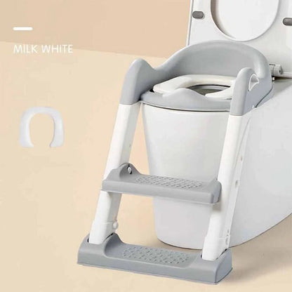 Toilet Ladder Potty Training Seat
