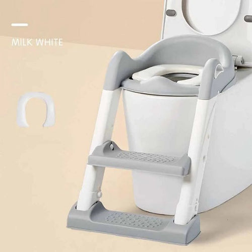Toilet Ladder Potty Training Seat